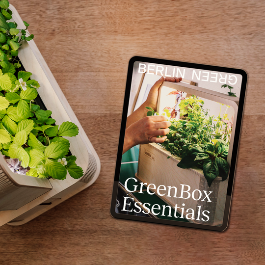 GreenBox Essentials