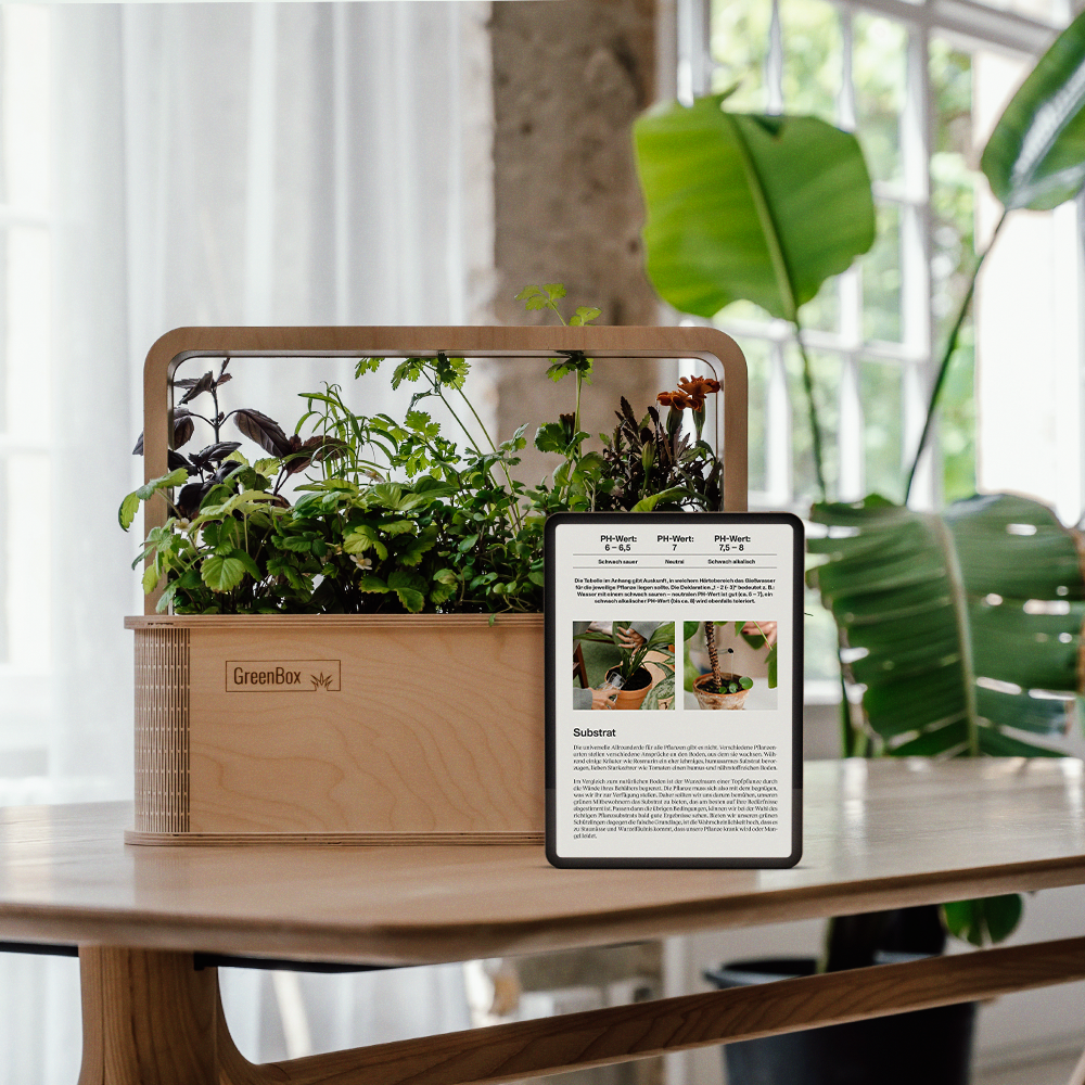 Urban Jungle mit BERLIN GREEN