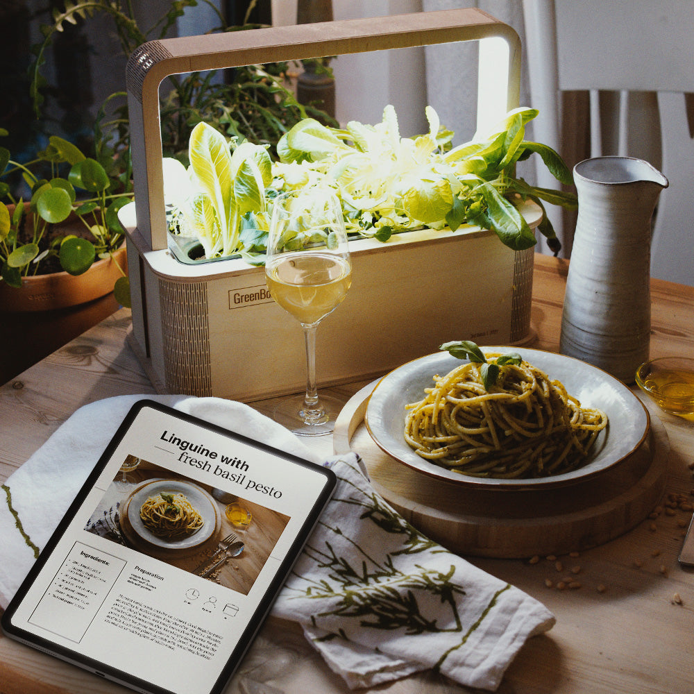 The GreenBox CookBook