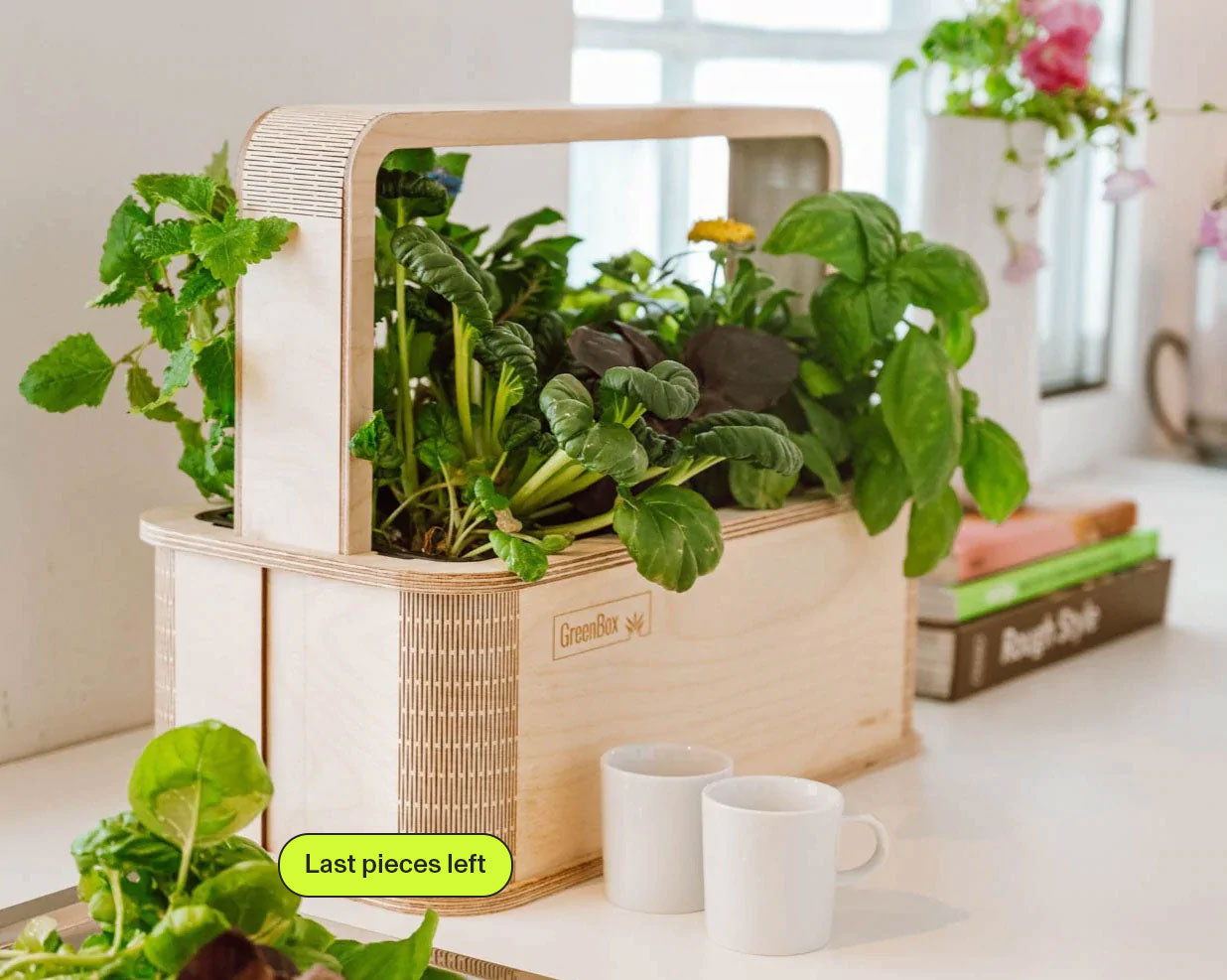 GreenBox B-Ware