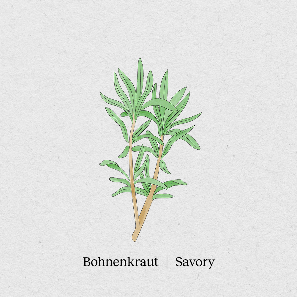 Savory