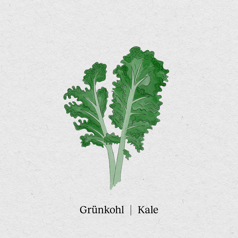 Kale