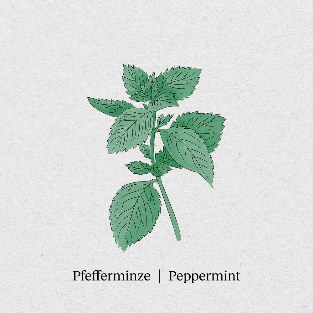 Peppermint