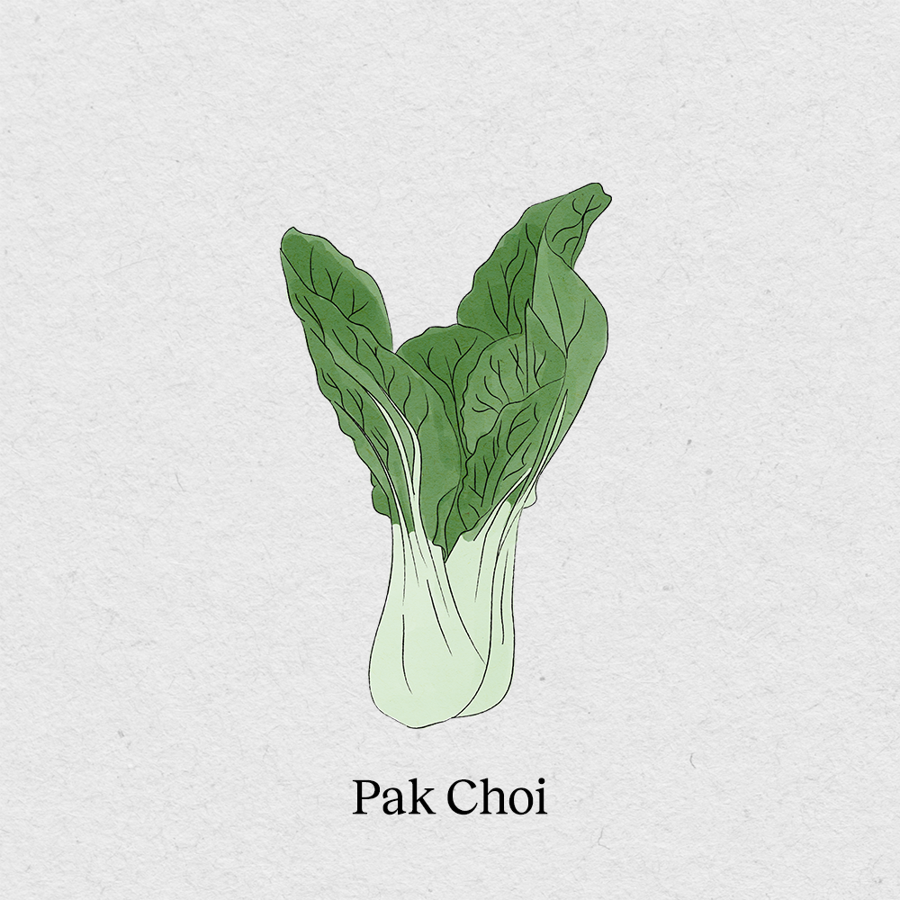 Pak Choi