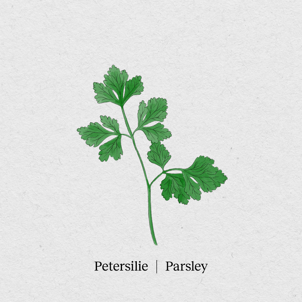 Parsley