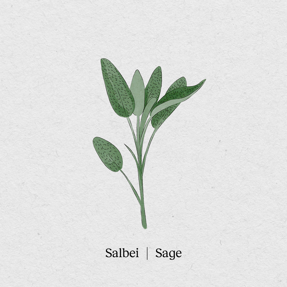 Sage