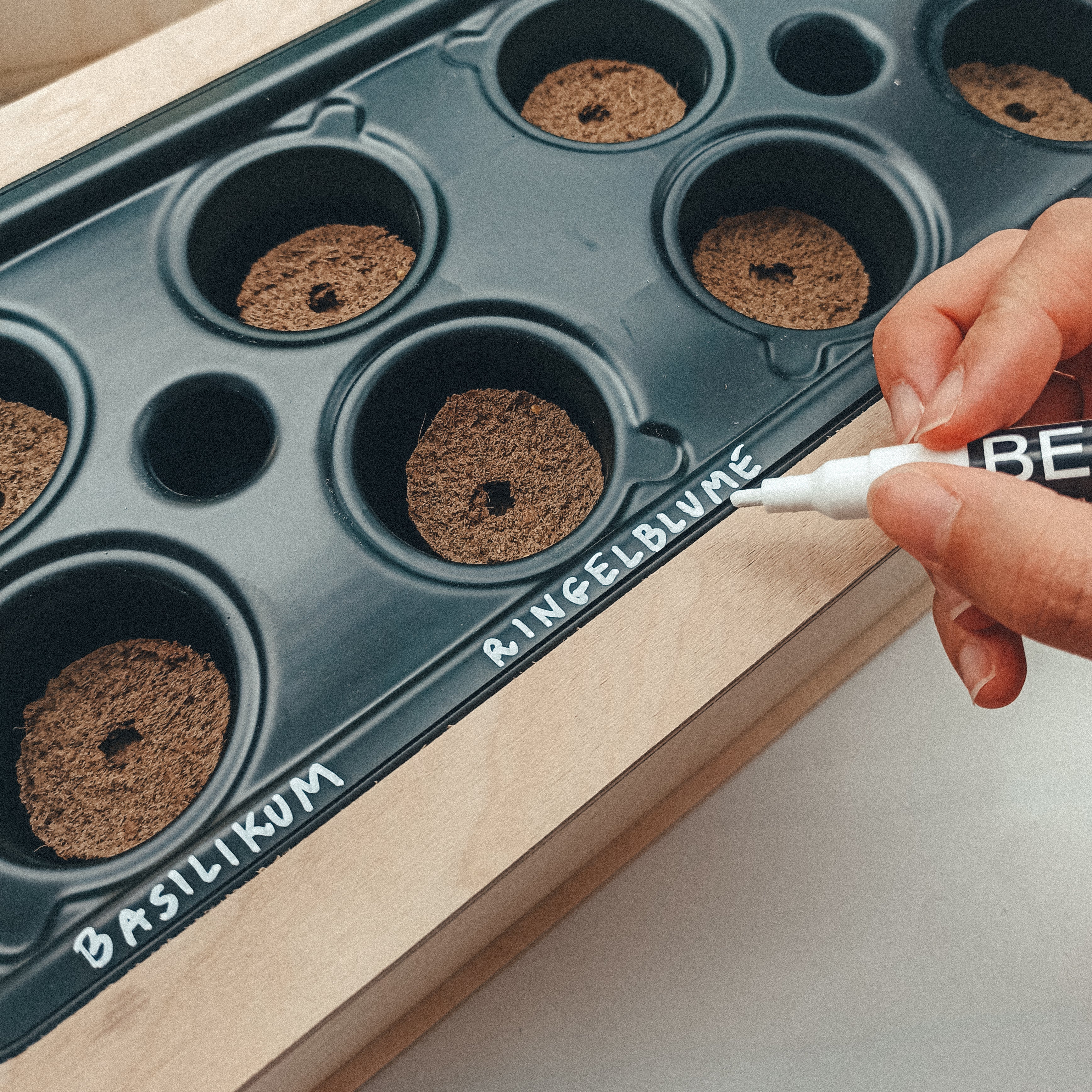 PlantPots + Magic Pen Set