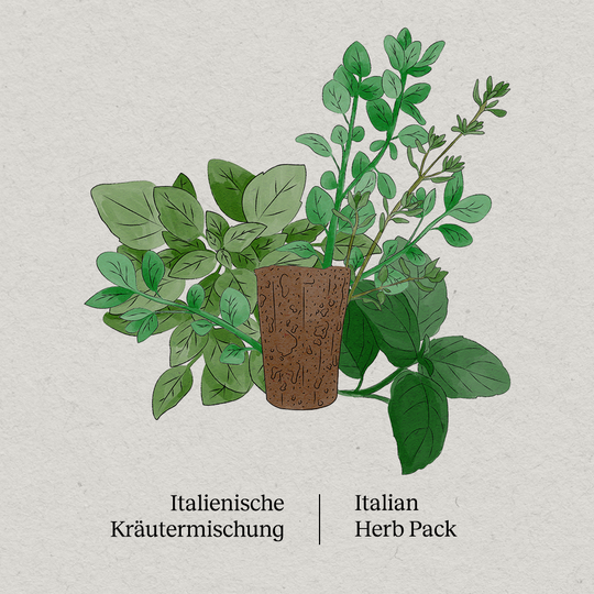 PlantPlugs | Italienische Kräutermischung 8er-Pack