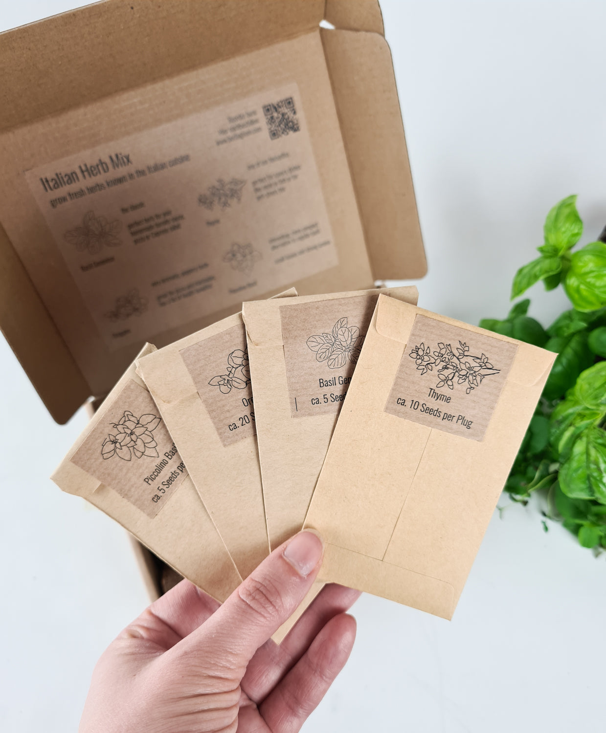 PlantPlugs | Italian herb mix 8-pack