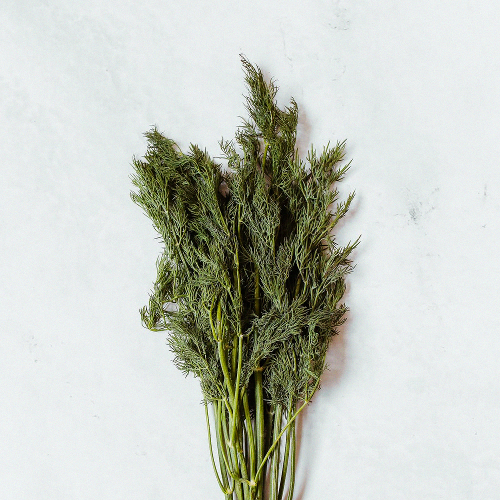 Dill