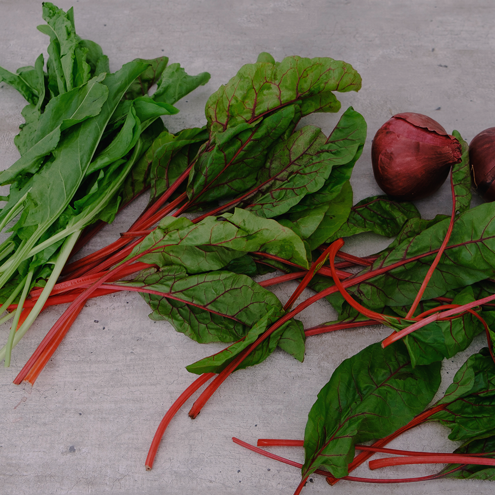 Sorrel