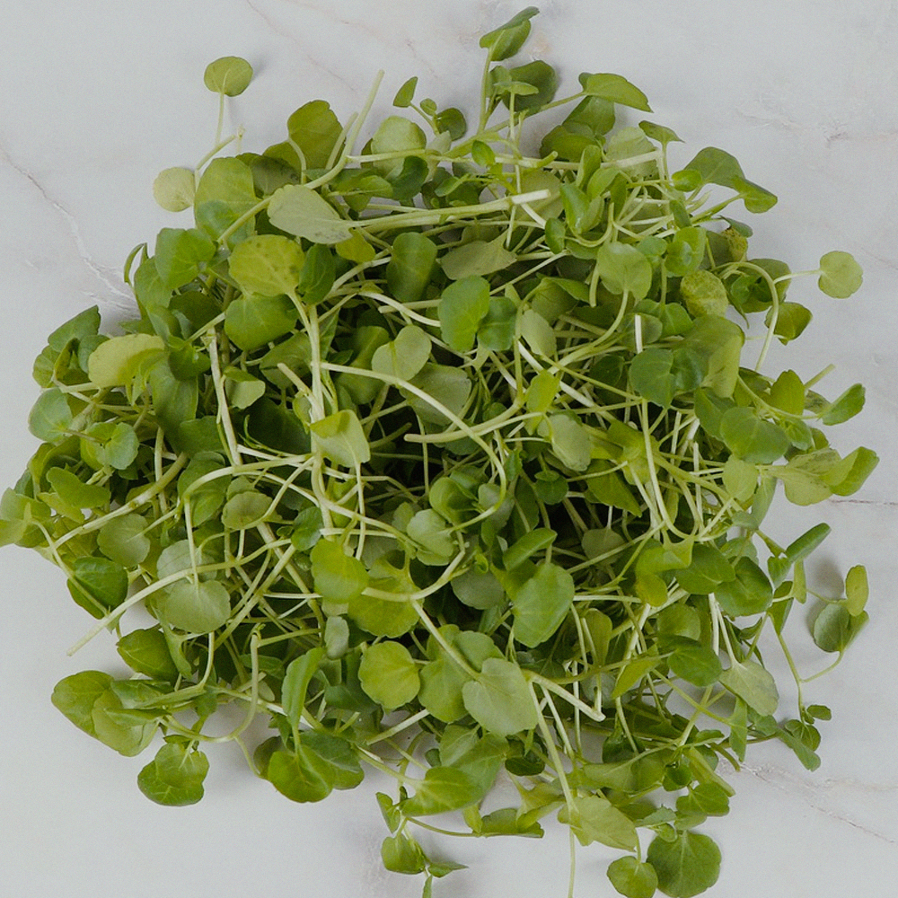Watercress