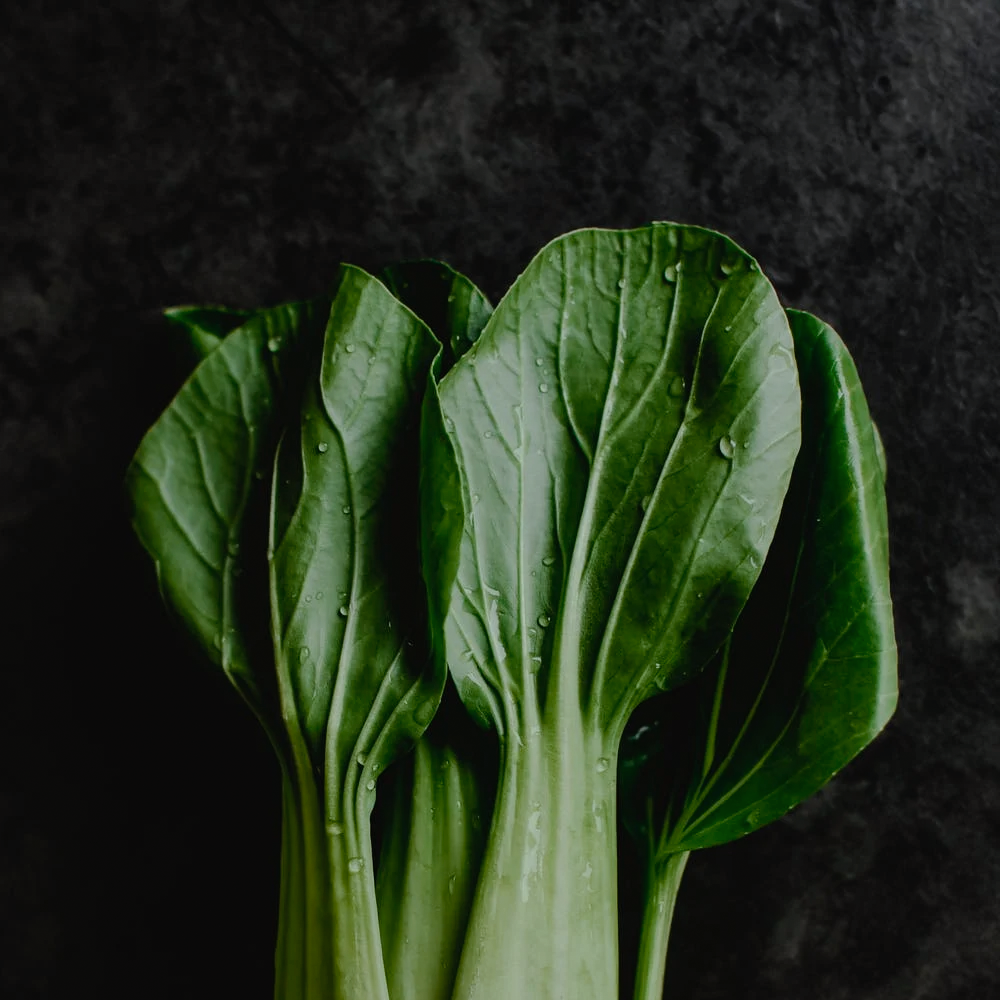 Pak Choi