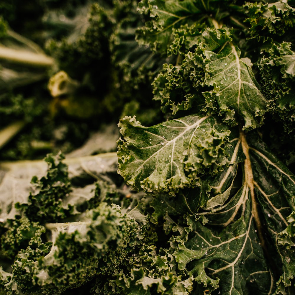 Kale
