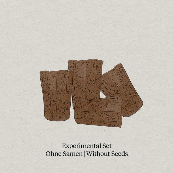 PlantPlugs | Experimental Set (ohne Samen) 24er-Pack