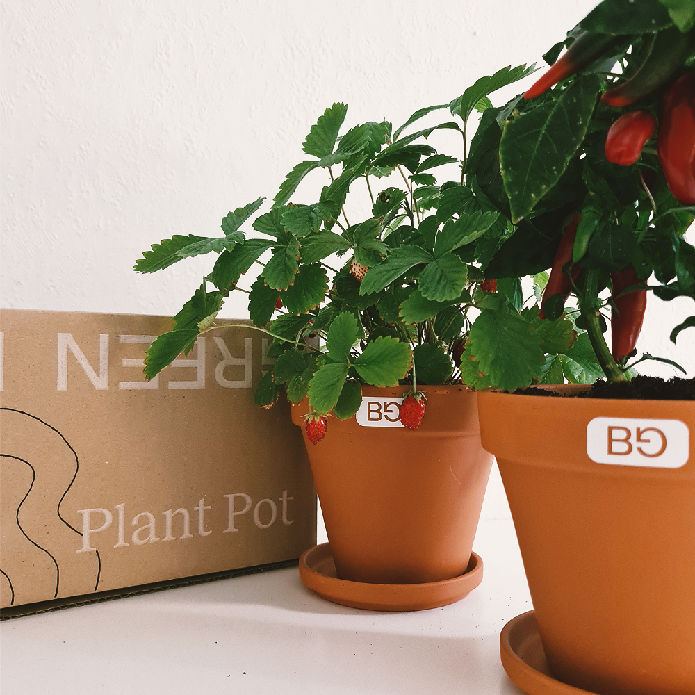 PlantPots + Magic Pen Set