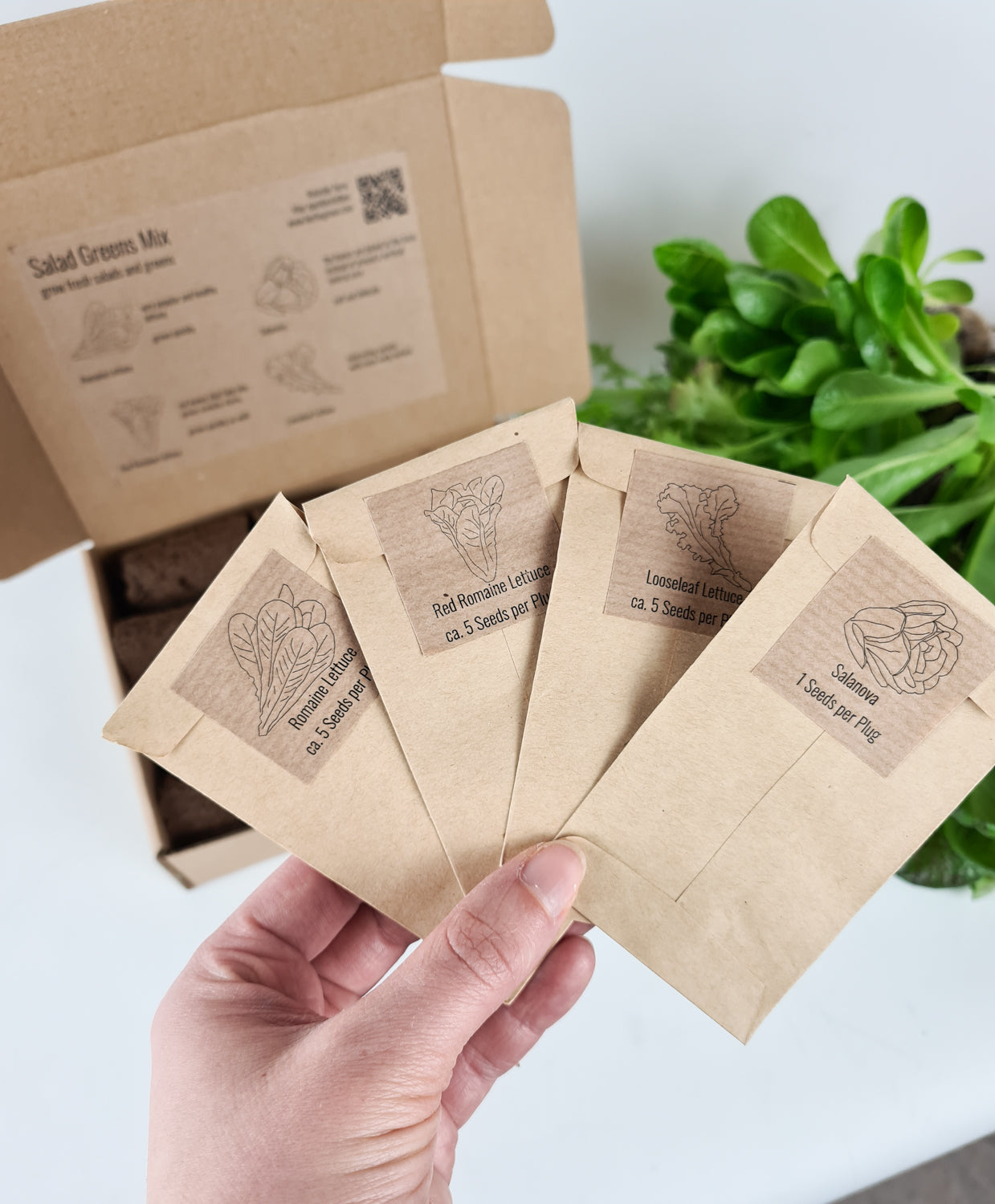 PlantPlugs | Salad Quartet 8-pack