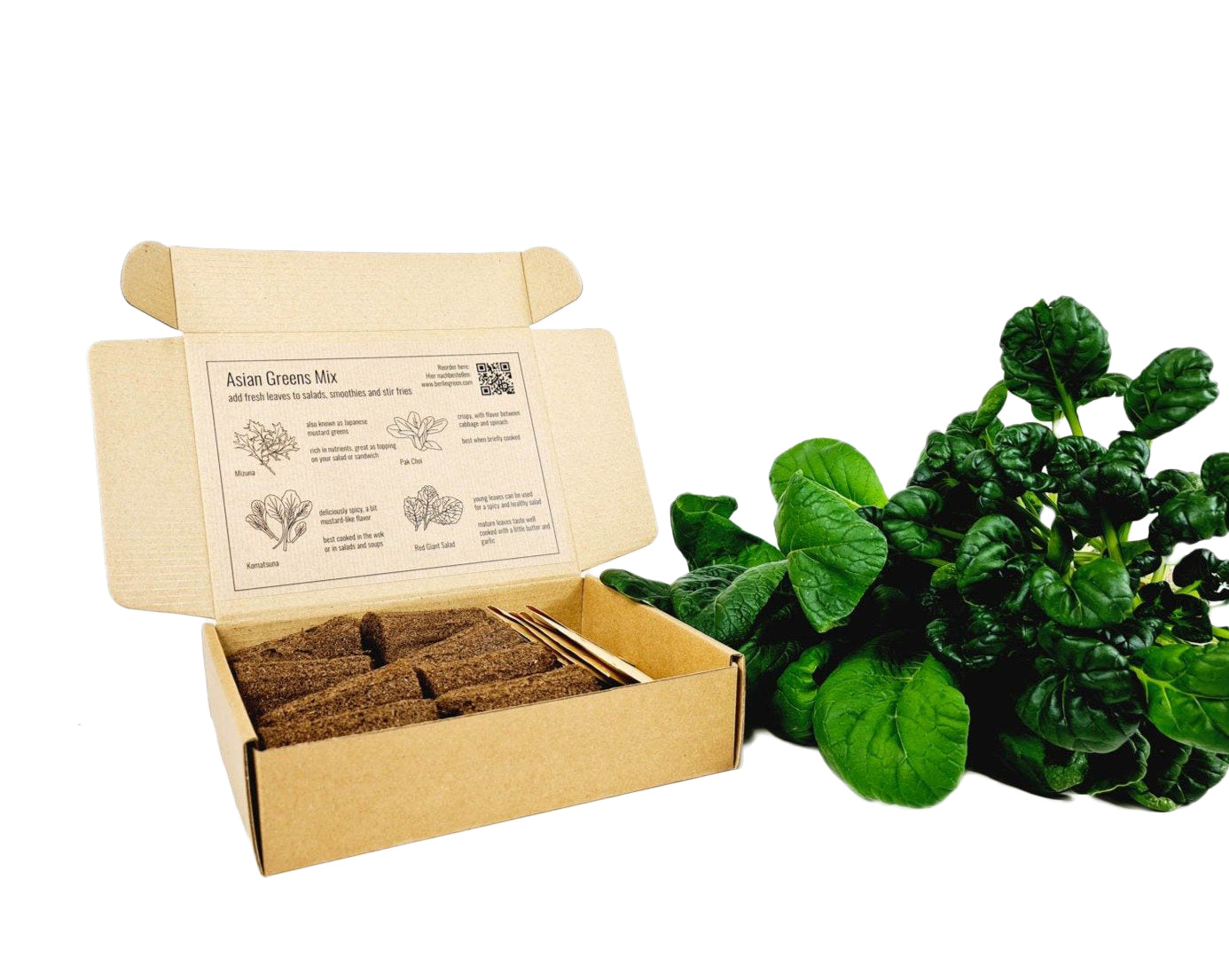 PlantPlugs | Asian leafy vegetables 8-pack