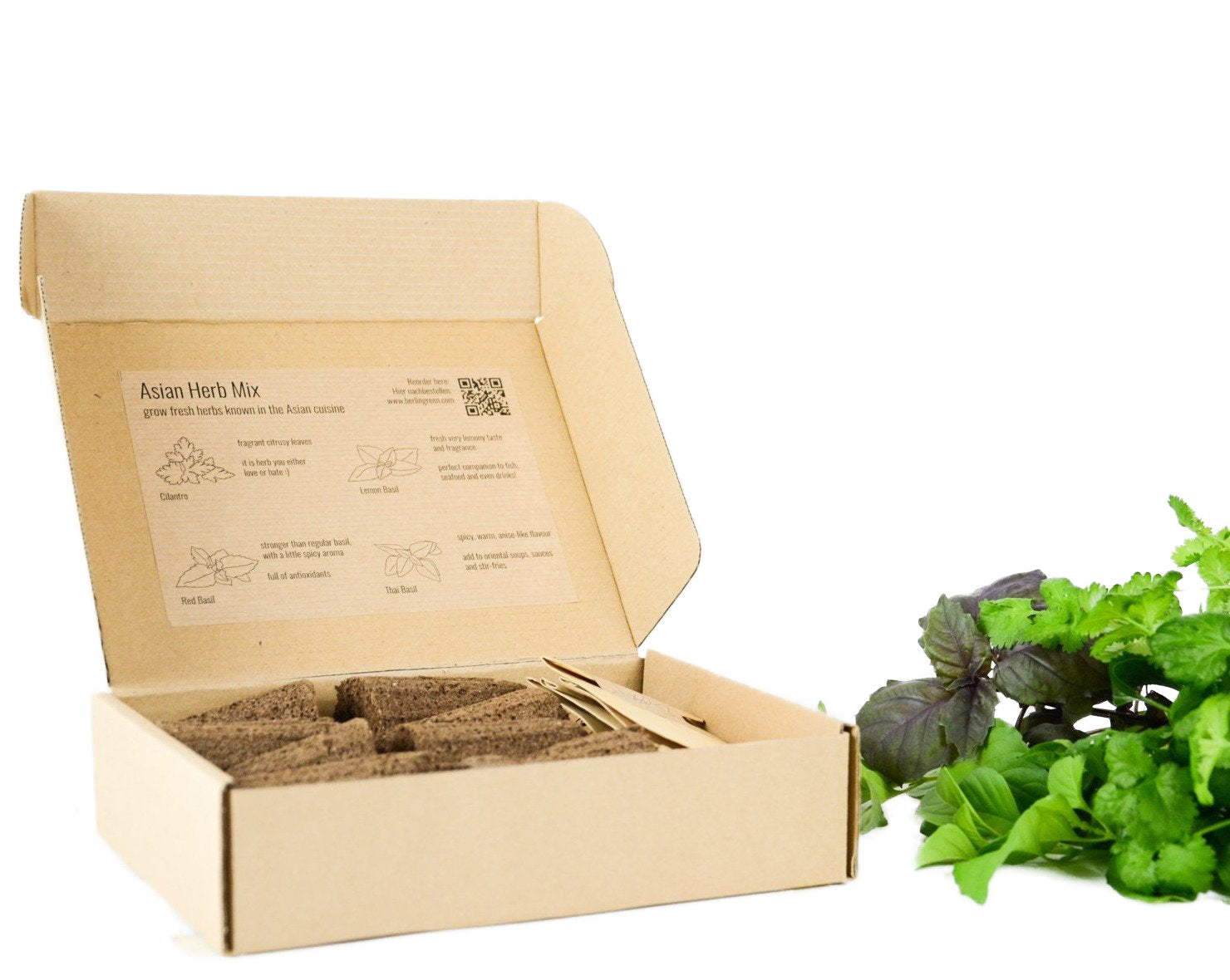 PlantPlugs | Asian herb mix 8-pack