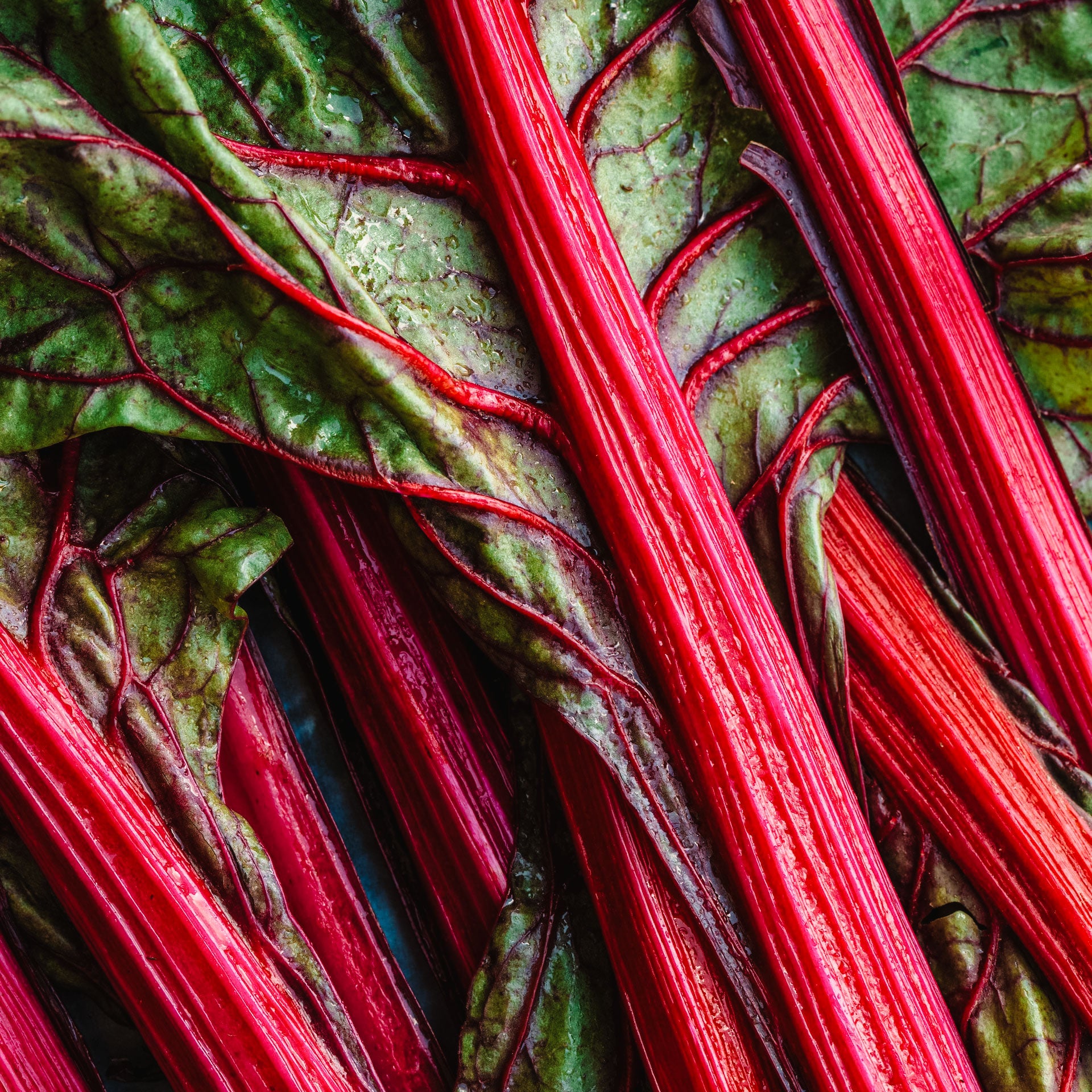 Swiss chard