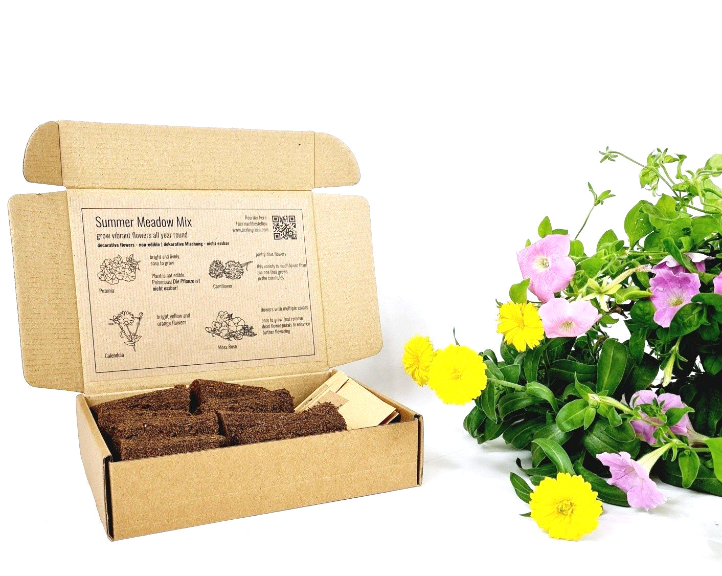 PlantPlugs │ Summer meadow mix 8-pack
