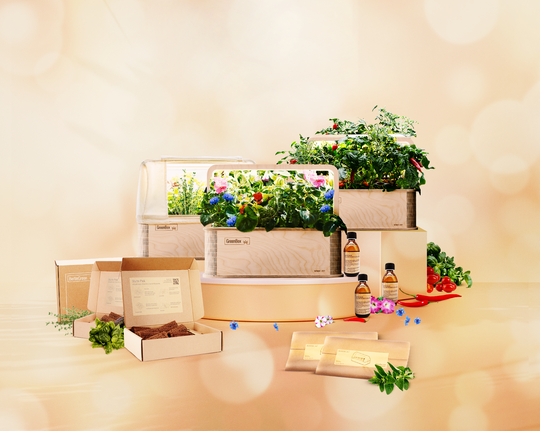 GreenBox Ultimate Indoor Garden Trio Bundle - Black November Offer