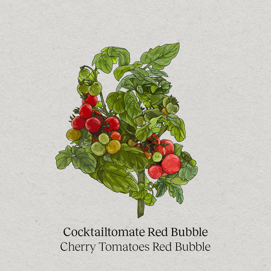 Cocktail tomato Red Bubble