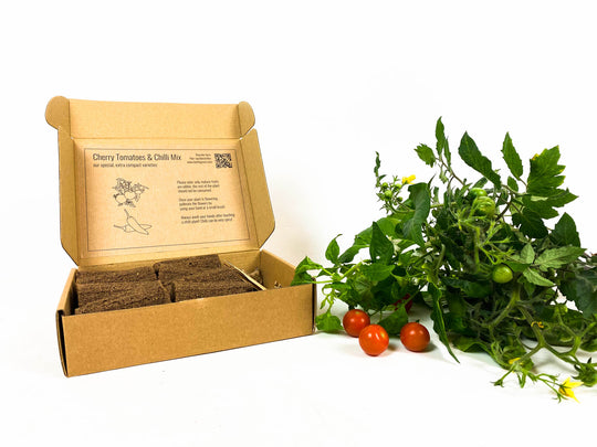 PlantPlugs │ Cherry tomato & chili mix 8-pack