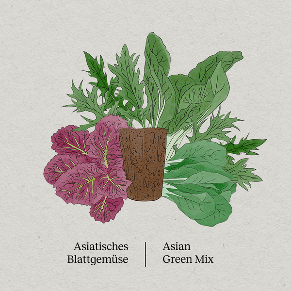 PlantPlugs | Asian Greens Mix 8-Pack