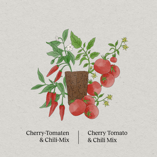PlantPlugs │ Cherry tomato & chili mix 8-pack