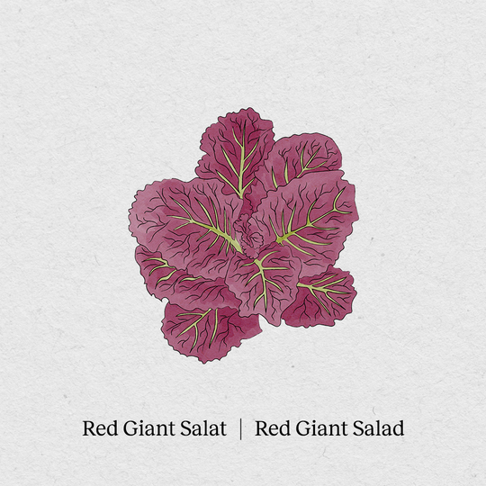 Red Giant Salad