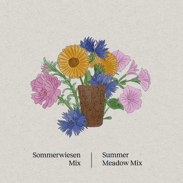 PlantPlugs │ Summer meadow mix 8-pack