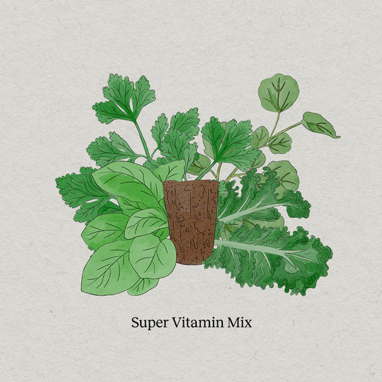PlantPlugs │ Super vitamin mix 8-pack