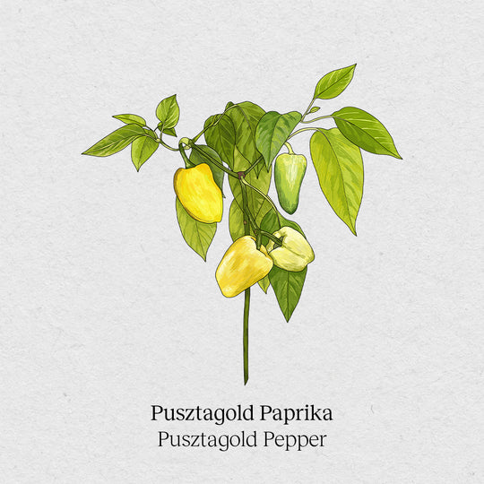 Pusztagold paprika