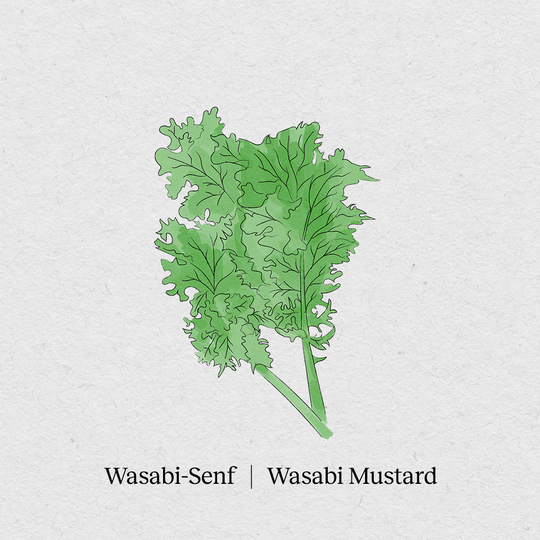 Wasabi mosterd