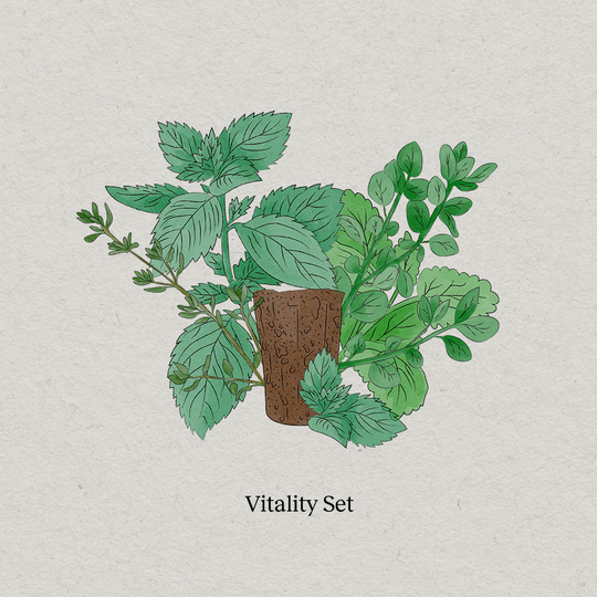 PlantPlugs | Vitaliteit Set 8 stuks